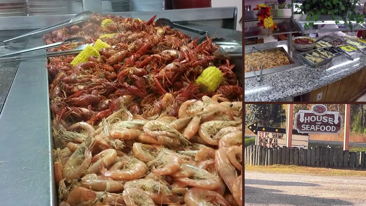 Buffet trays of crab, shrimp, gumbo, and jambalaya.