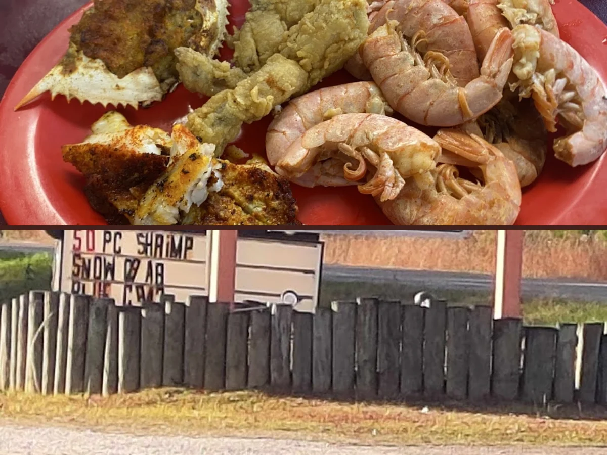 Assorted seafood dishes arranged on a buffet counter.