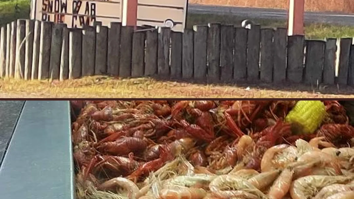 Seafood buffet line with hot trays and serving spoons.
