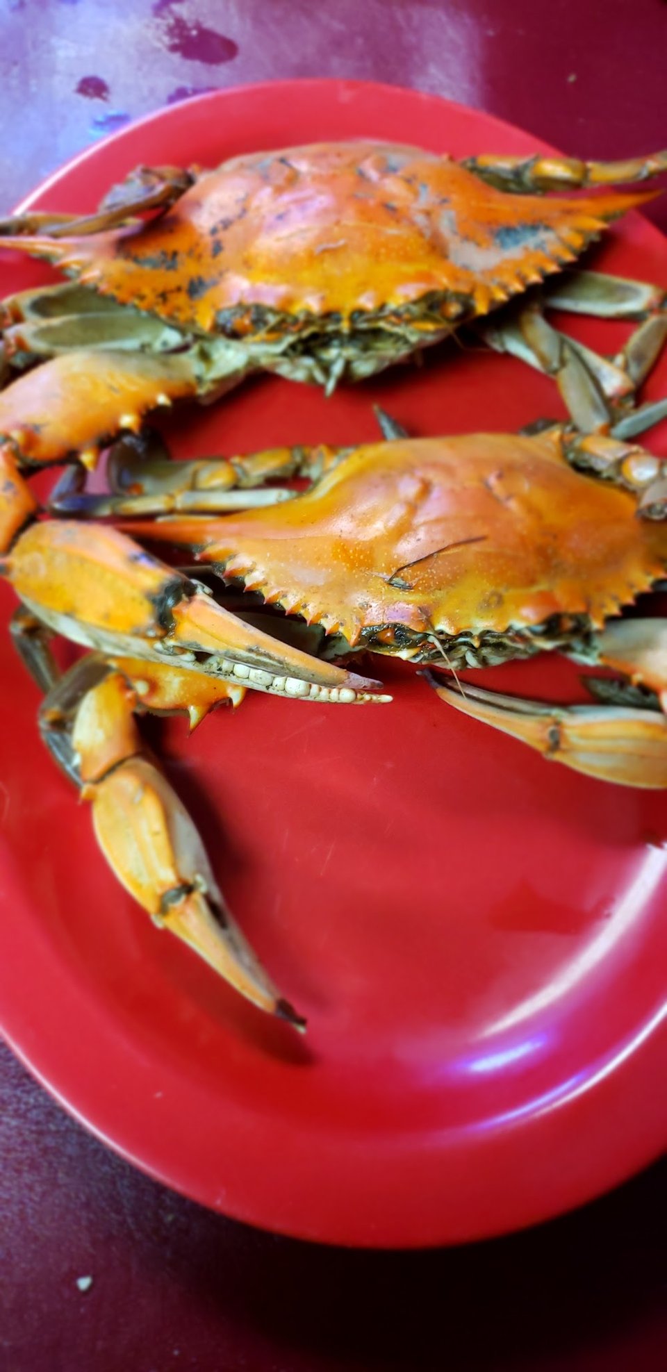 A Stack of Boiled Crabs